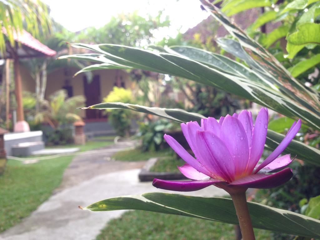 Dimuwa Ubud Pokój zdjęcie