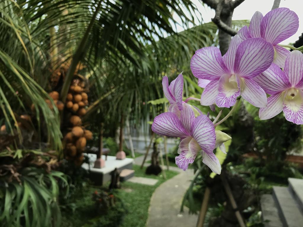 Dimuwa Ubud Zewnętrze zdjęcie