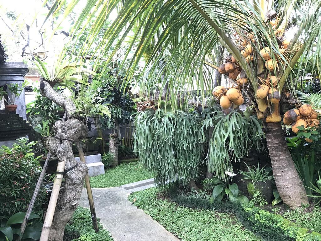 Dimuwa Ubud Zewnętrze zdjęcie